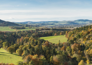 Amazing walking opportunities