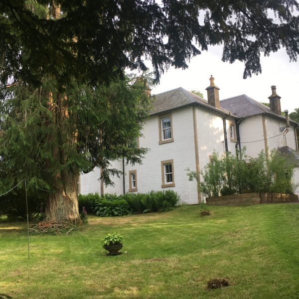Back garden