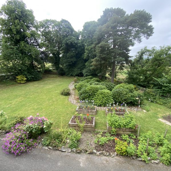 Front garden view