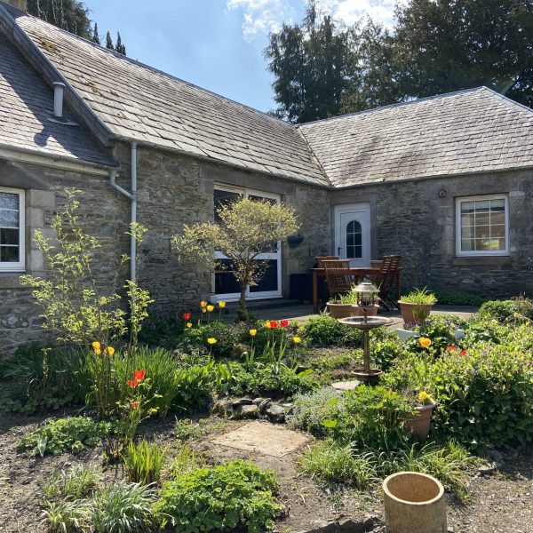 Garden & patio