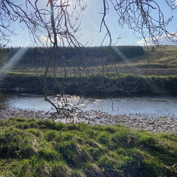 River sunshine
