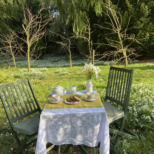 Snowdrops