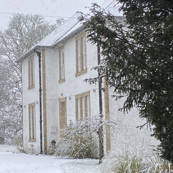 Winter wonderland
