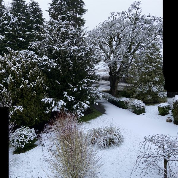 Winter2