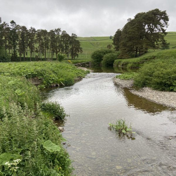 river view